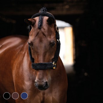 Kantar transportowy Hansbo...