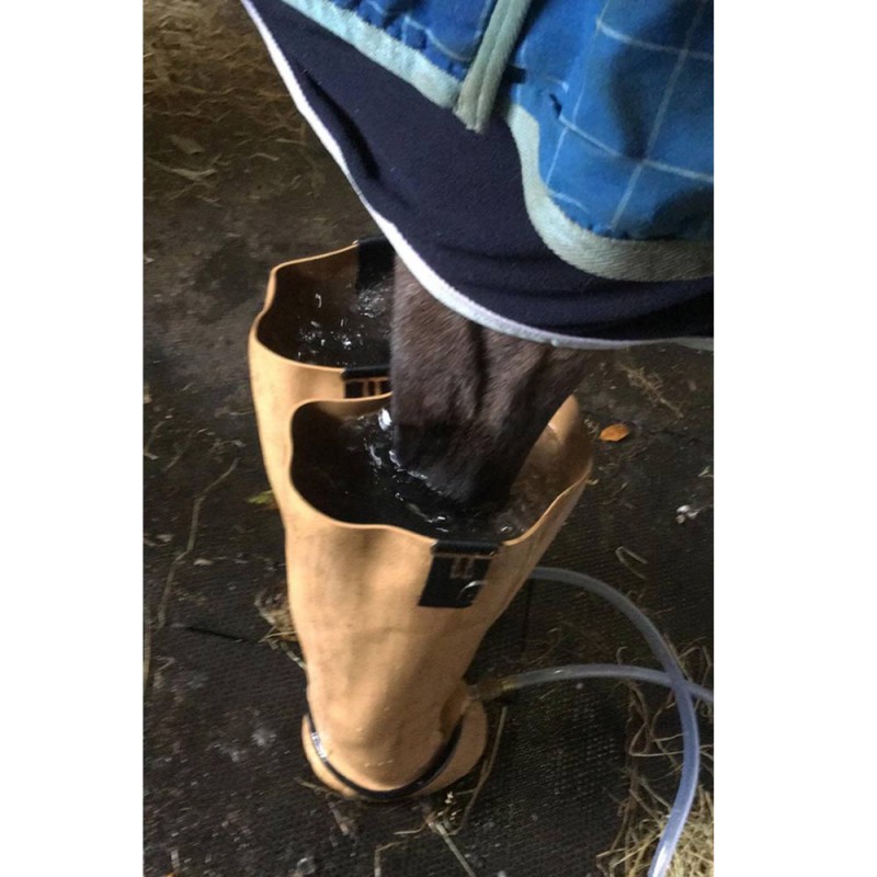 Jacks Whirlpool Boots System hydroterapii dla koni