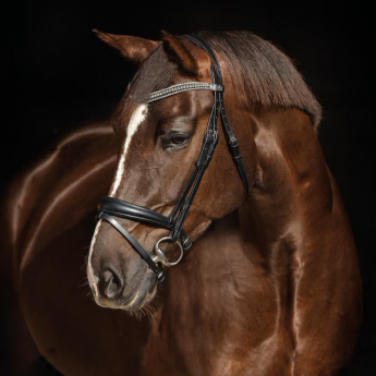 Hansbo Sport JANET bridle...